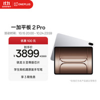 一加 OnePlus 平板 2 Pro 13.2英寸平板电脑骁龙8至尊版芯片16GB+512GB 冰川银 游戏办公学生