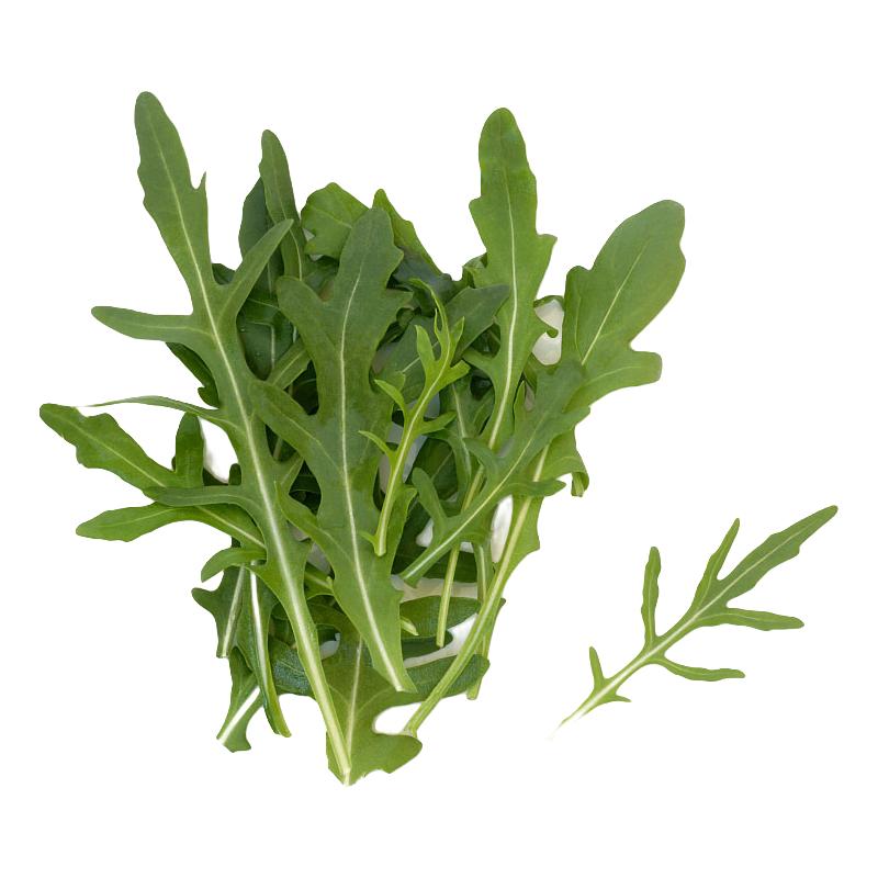 【千牛优福】芝麻菜500g  新鲜蔬菜沙拉食材 生菜 西餐 火箭菜