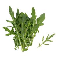 【千牛优福】芝麻菜500g  新鲜蔬菜沙拉食材 生菜 西餐 火箭菜