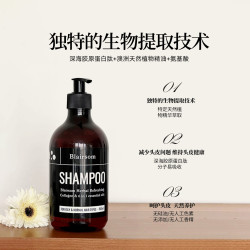 BLAIRSOM 草本洗发水护发素控油蓬松养发无硅油 500ml