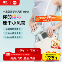 米家 MIJIA CMJ03ZHMG 电吹风 松霜绿