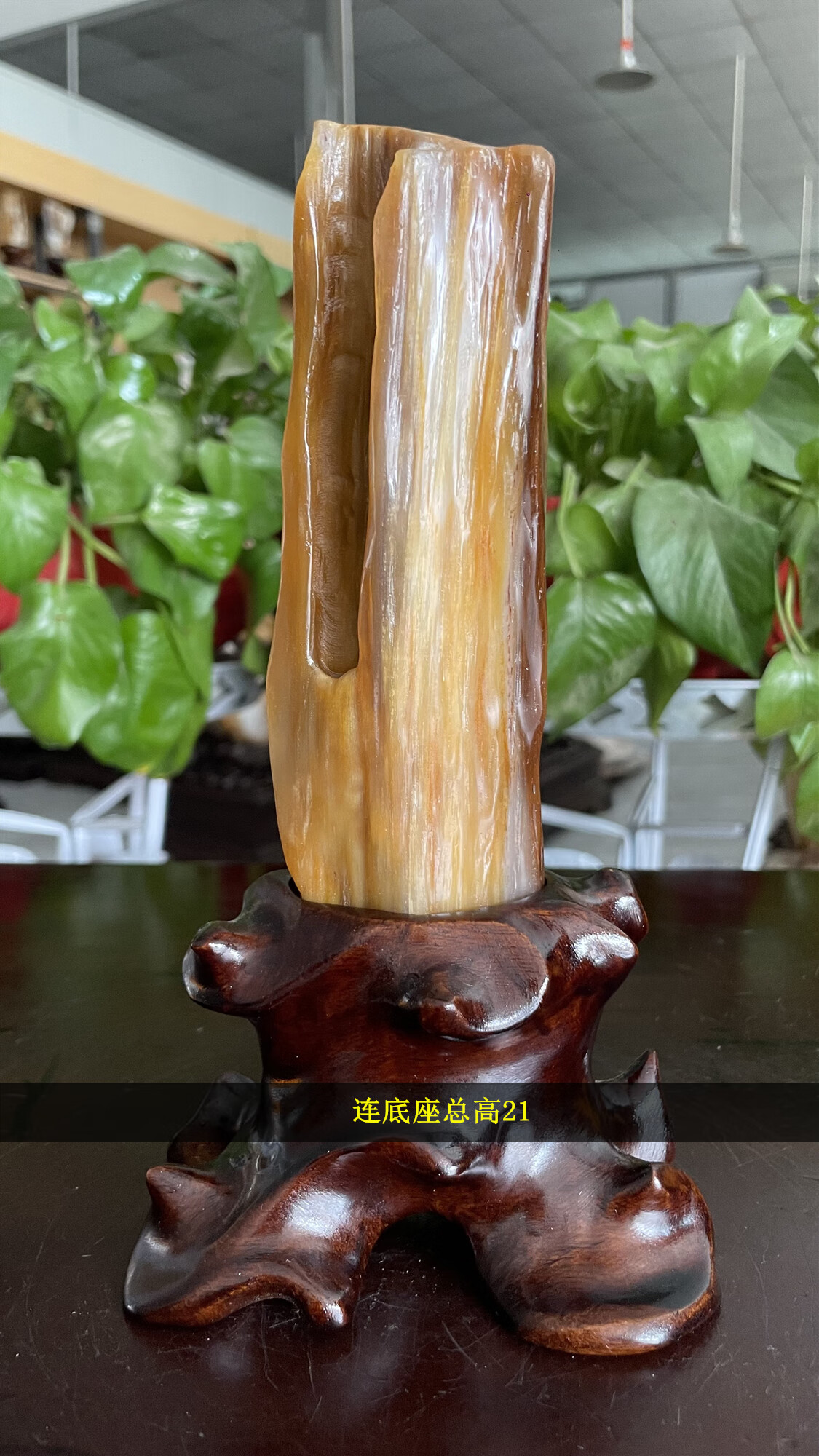 宏火阁缅甸树化玉原石木化玉奇石收藏玄关石头天然冰种树化石桌面摆件