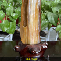 宏火阁缅甸树化玉原石木化玉奇石收藏玄关石头天然冰种树化石桌面摆件
