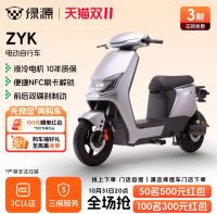 绿源 液冷电动车ZYK新国标长续航电瓶车 无须驾照
