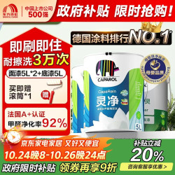 德爱威 CAPAROL 东方雨虹集团灵净净味抗甲醛乳胶漆 环保内墙墙面漆 白色 15L套装