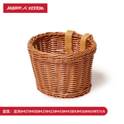 RADIO FLYER RadioFlyer儿童三轮车脚踏车宝宝自行车遛娃神器单车免充气手推车