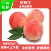 京鲜生 山东蒙阴黄金脆桃4.5斤 单果150g+ 黄毛桃 源头直发