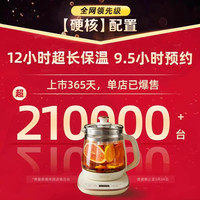 小熊养生壶家用多功能办公室小型煮茶器煮茶壶烧水壶2024