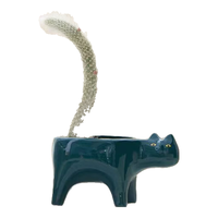 沭之美猴尾柱九尾狐猫咪花盆桌面绿植  九尾狐+绿猫盆 源头直发