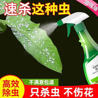 皎洁 白粉虱速用杀虫剂 花卉植物通用 白飞虱病白娥病特效药 500mL 1瓶