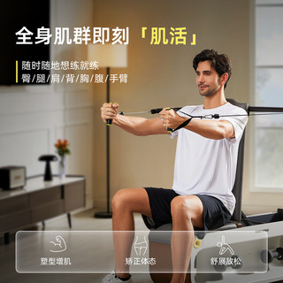 沐小马品牌直营活力健身凳多功能哑铃卧推凳健身椅子家用飞鸟凳折叠居家