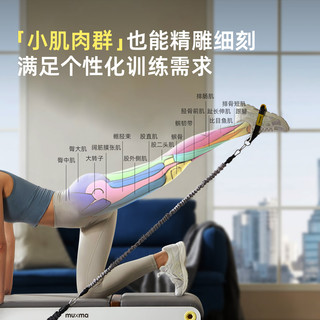 沐小马品牌直营活力健身凳多功能哑铃卧推凳健身椅子家用飞鸟凳折叠居家
