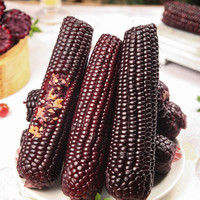 玉颜色 东北 黑糯玉米 250g*10根