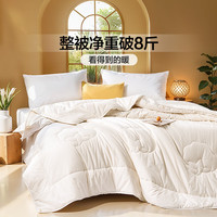 富安娜 纯棉棉花特厚被 阳光里 8.9斤 203*229cm