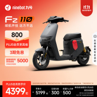 今日必买：九号 电动Fz 110电动自行车9号智能锂电 到门店选颜色