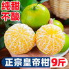 壹萌果蔬 三萌果蔬广西皇帝柑橘子贡柑贡橘新鲜水果当季现摘水果整盒 至臻5斤老树果丨60MM+ 净4.5斤