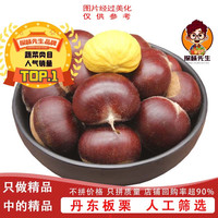 探味先生 Tanwei Xiansheng 探味先生 丹东板栗 精选 1斤 尝鲜装