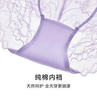 曼妮芬 中腰低脚裤蕾丝边包臀女内裤 紫色 L