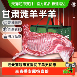 祁连天宝 甘肃滩羊切块羊肉礼盒 10斤