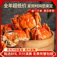 苏逸阁 活蟹 苏逸阁大闸蟹鲜活螃蟹 全母蟹 2斤 13-16只 大闸蟹 螃蟹