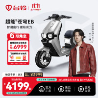 今日必买：台铃 超能S·苍穹EB 电动自行车 到店选购颜色