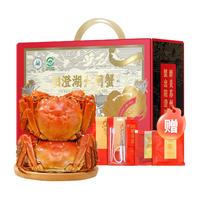 活蟹阳澄湖大闸蟹全母蟹3.5两新鲜特大鲜活螃蟹店礼盒装