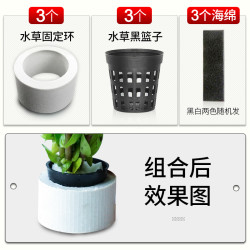 花百年 金鱼藻蜈蚣草水草植物绿菊鱼缸造景水培真草养鱼草缸绿植净水新手