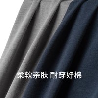 舒雅(Schiesser)男士舒美棉3A抗菌长袖长裤保暖秋衣秋裤套装E5/23918W E5/23924W【V领】深灰 XL 【80-90公斤】