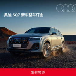 Audi 奥迪 SQ7 2024款 4.0TFSI 手自一体 SUV