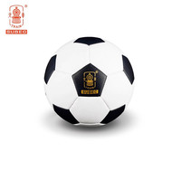 火车 Train K9009W 足球 5号球