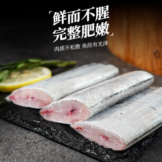 森农乐舟山带鱼段大号纯中段特大生鲜冷冻野生新鲜海鲜水产刀鱼无内脏 净重5斤家庭装【油脂丰厚中段】