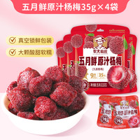 农夫山庄 九制杨梅干 500g 袋装