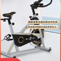 英派斯 dearbike 健身单车 123 13KG飞轮