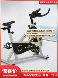 英派斯 dearbike 健身单车 123 13KG飞轮