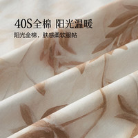 百丽丝四件套纯棉四件套家用床品套件床上四件套 纯棉四件套 (棕色) 床单款 (被套200*230cm)