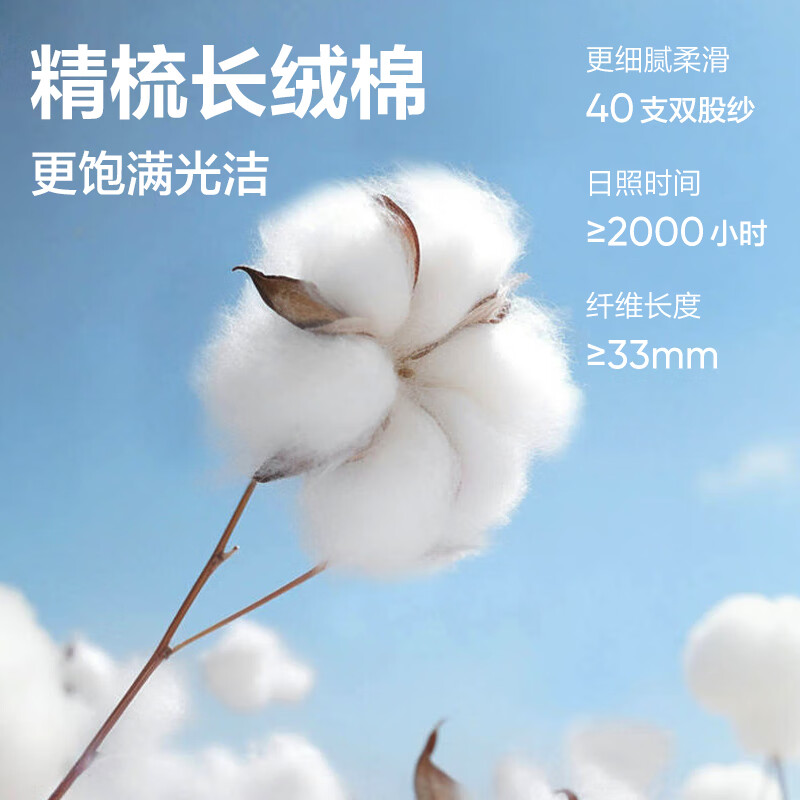 磨毛款-经典黑