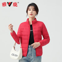 雅鹿轻薄羽绒服女款冬季2025短款立领洋气轻便保暖小个子百搭外套 XL