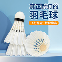 及冠 A01 羽毛球 A01 耐打（娱乐款）一筒3只装A03