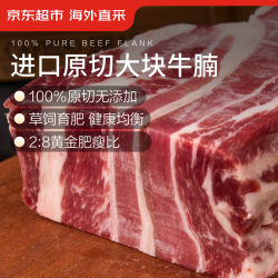 京东超市 JD 京东超市 进口原切牛腩 3斤