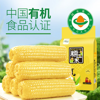 析芮东北有机黄糯玉米新鲜真空装黄糯玉米棒香甜软糯粘苞米10根