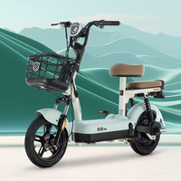 绿源 乐骑09 新国标电动自行车  48V12Ah铅酸电池