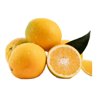 京鲜生 秭归夏橙净重4.5斤 单果120g+ 新鲜橙子 源头直发包邮