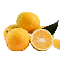 京鲜生 秭归夏橙净重4.5斤 单果120g+ 新鲜橙子 源头直发包邮