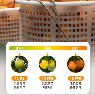 京鲜生 江西赣南脐橙 净重8斤装 单果150g起 生鲜水果 源头直发
