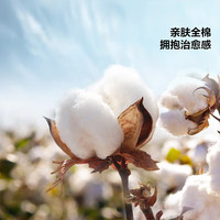 百丽丝被套全棉印花可机洗水洗干爽透气宿舍单人家用 全棉印花被套 150cm*210cm