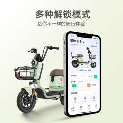 雅迪 钠电电动自行车Q1-H 94km