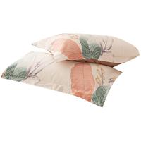 洁丽雅（Grace）枕套A类100%全棉 3A抗菌面料 吸汗枕头套 清雅 一对装 48*74cm