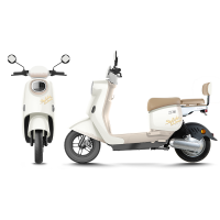 立马电动车 立马 CG-5 电动自行车 续航升级版