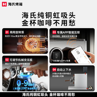  Hauswirt/海氏 商用 意式半自动咖啡机 双锅炉