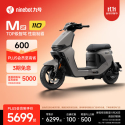九号 Mz 110 2025款 电动自行车 到门店选颜色